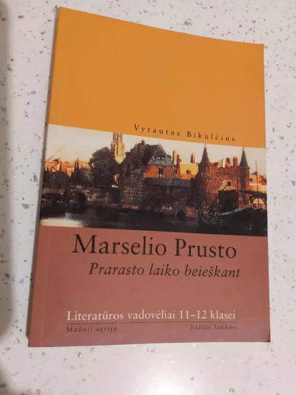 Marselio Prusto prarasto laiko beieškant - Vytautas Bikulčius, knyga