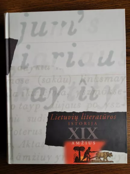Lietuvių literatūros istorija XIX amžius - Juozas Girdzijauskas, knyga