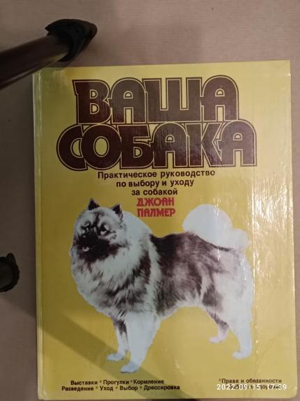 ВАША СОБАКА