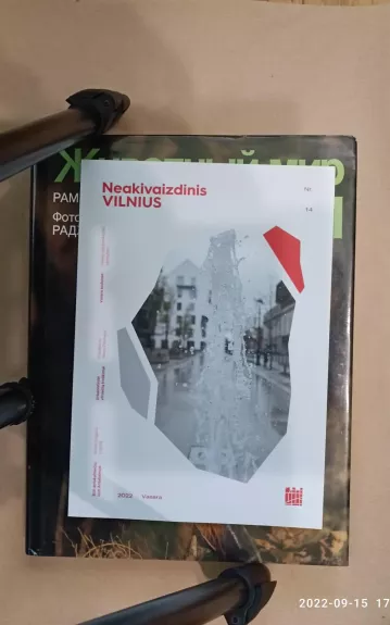 Neakivaizdinis Vilnius - Autorių Kolektyvas, knyga