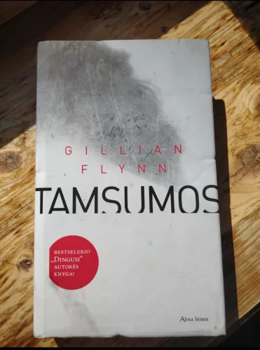 Tamsumos - Gillian Flynn, knyga