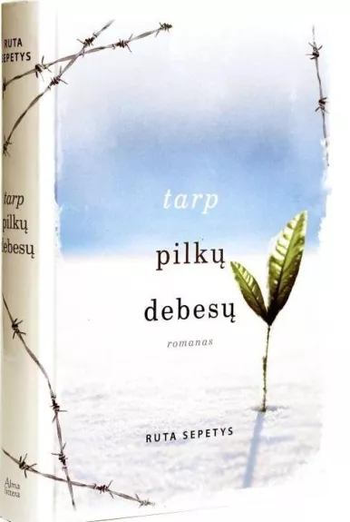 Tarp pilkų debesų