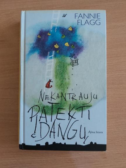Nekantrauju patekti į dangų