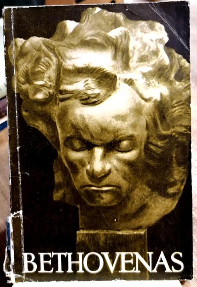 Bethovenas
