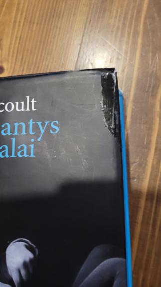 Nykstantys pavidalai