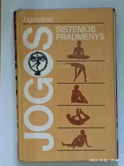 Jogos sistemos pradmenys