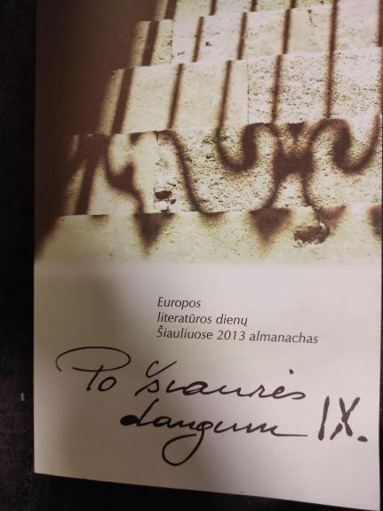 Po Šiaurės dangumi