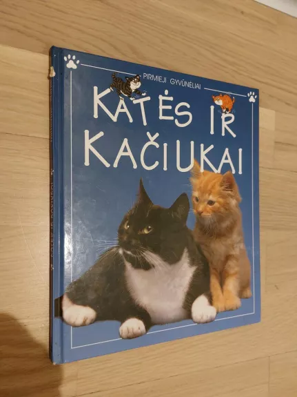 Katės ir kačiukai - Katherine Starke, knyga