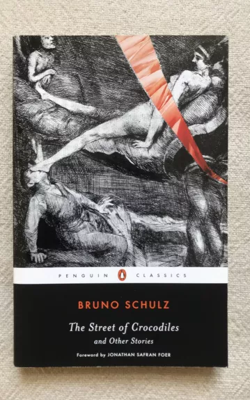 The Street of Crocodiles and Other Stories - Bruno Schulz, knyga