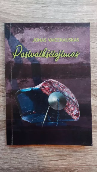 Pasivaikščiojimas - Jonas Vaicekauskas, knyga