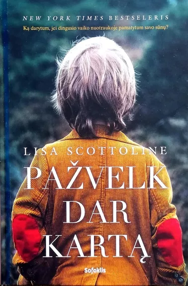 Pažvelk dar kartą - Lisa Scottoline, knyga