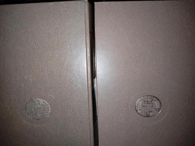 Tykusis Donas 2 tomai