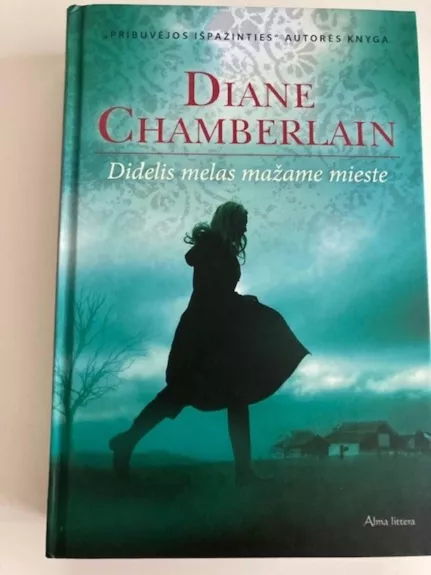 Didelis melas mažame mieste - Diane Chamberlain, knyga