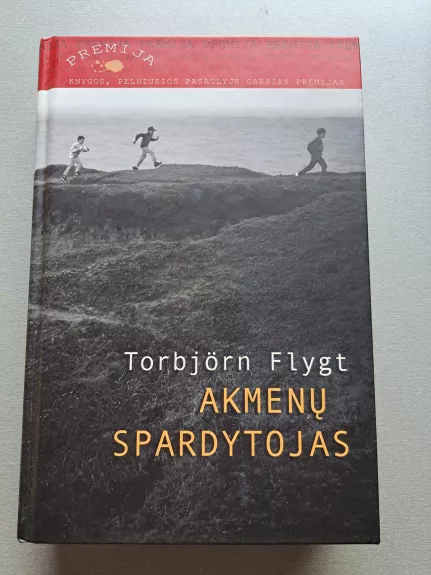 Akmenų spardytojas - Torbjorn Flygt, knyga