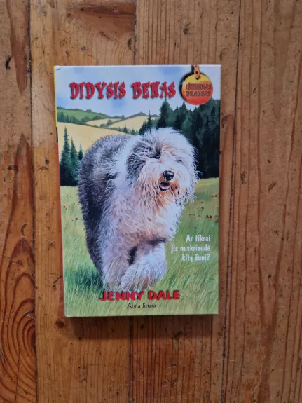 Didysis Benas - Jenny Dale, knyga