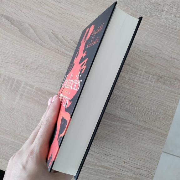 Undinėlės mirtis - Autorių Kolektyvas, knyga 1