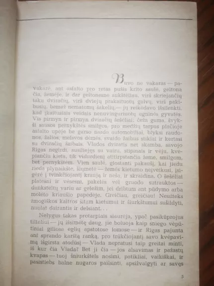 Saulė vakarop - Mykolas Sluckis, knyga 1