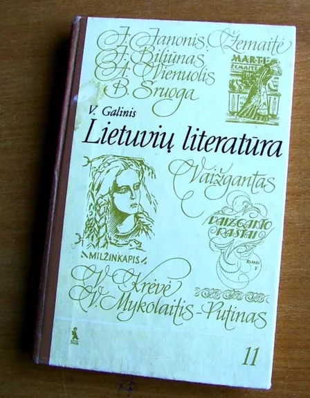 Lietuvių literatūra 11 klasei - Vytautas Galinis, knyga