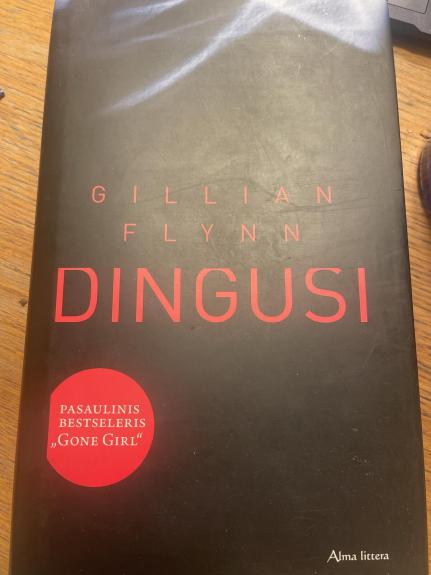 Dingusi - Gillian Flynn, knyga