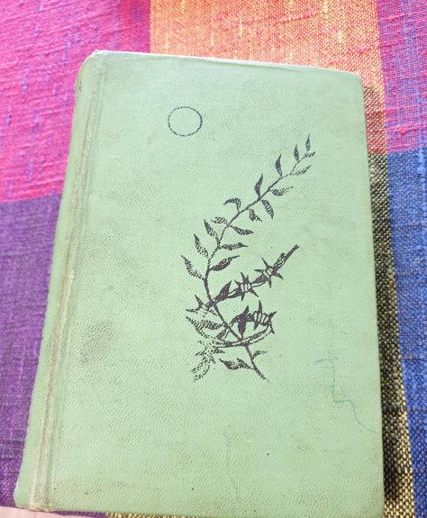 Sodybų tuštėjimo metas