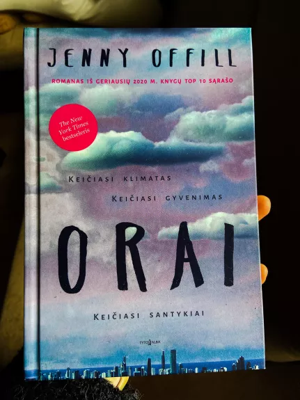 Orai - Jenny Offill, knyga