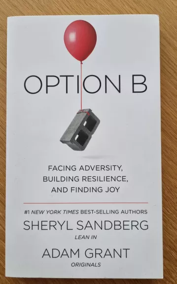 Option B - Sheryl Sandberg, knyga 1