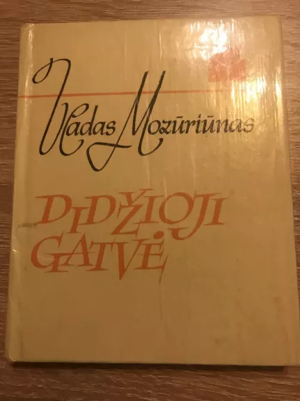 Didžioji gatvė - Vladas Mozūriūnas, knyga