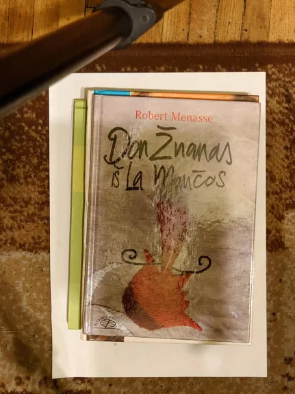 Don Žuanas iš La Mančos - Robert Menasse, knyga