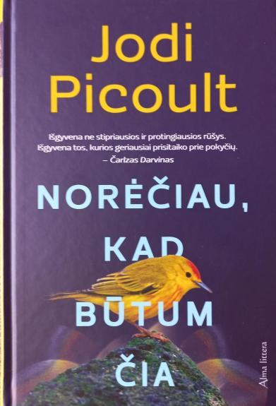 Norėčiau, kad būtum čia