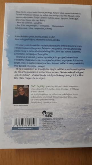 Tarp pilkų debesų - Šepetys Ruta, knyga 1