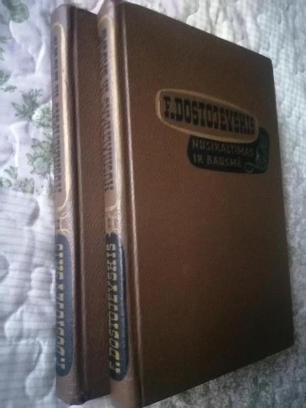 Nusikaltimas ir bausmė (2 knygos)