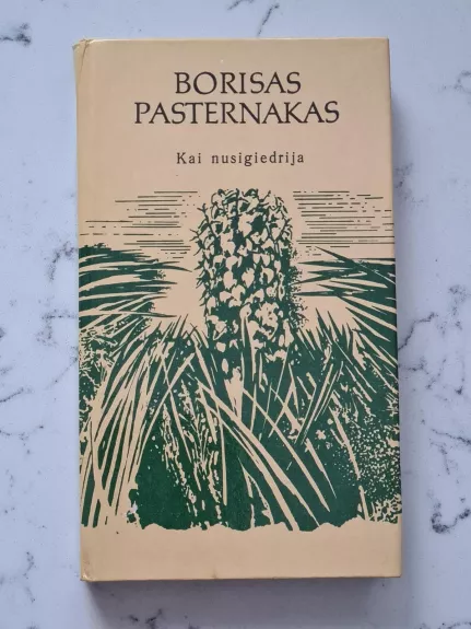 Kai nusigiedrija. Eilėraščiai - Borisas Pasternakas, knyga