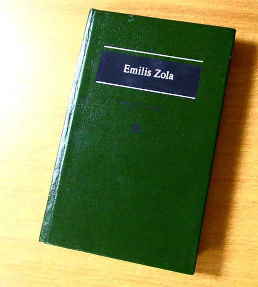 Moterų laimė - Emilis Zola, knyga