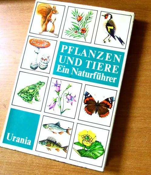 Pflanzen und tiere - Autorių Kolektyvas, knyga