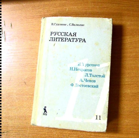 Русская литература 11