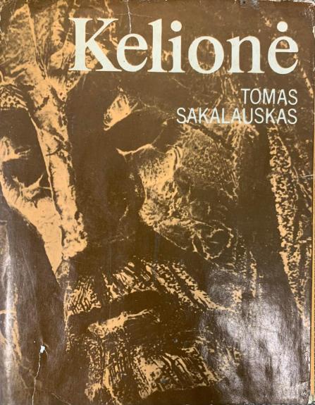 Dailininko V.K.Jonyno gyvenimas.KELIONĖ