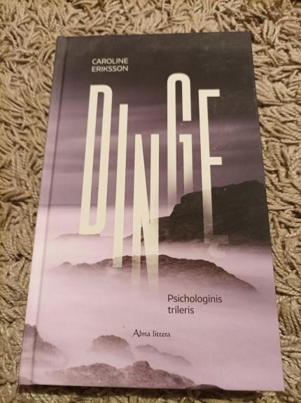 Dingę - Caroline Eriksson, knyga