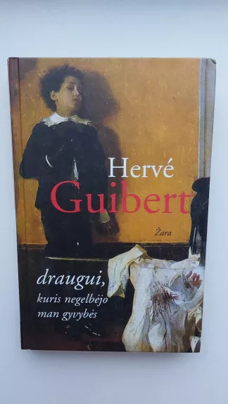 Draugui, kuris negelbėjo man gyvybės - Herve Guibert, knyga