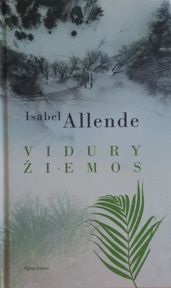 Vidury žiemos - Isabel Allende, knyga