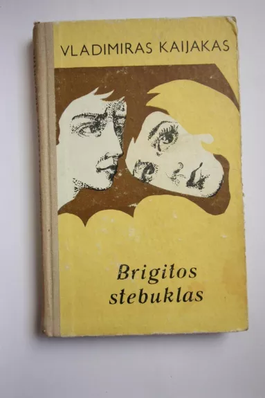 Brigitos stebuklas - Vladimiras Kaijakas, knyga