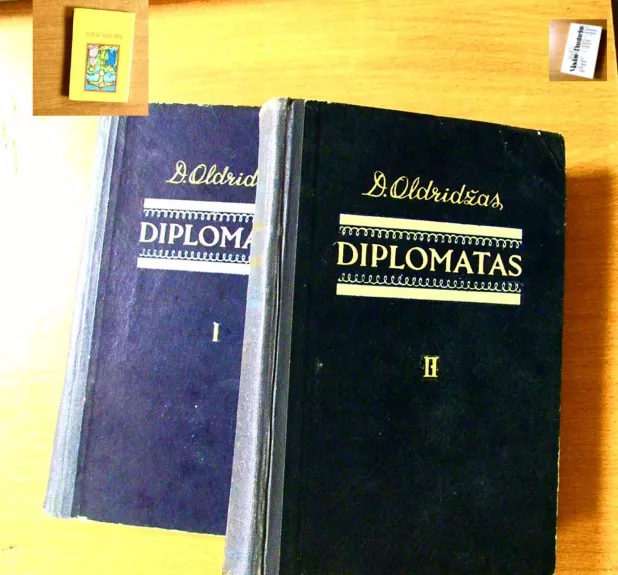 Diplomatas - D. Oldridžas, knyga