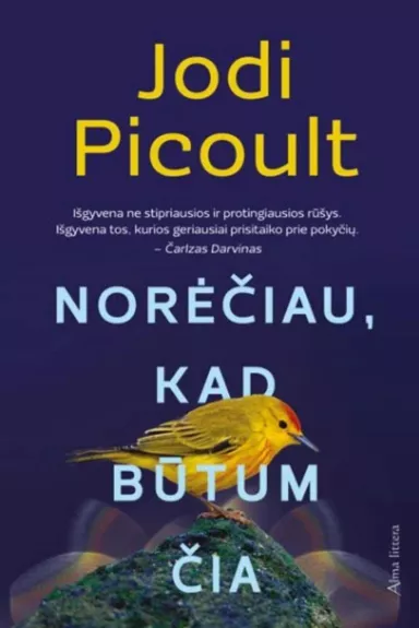 Norėčiau, kad būtum čia - Jodi Picoult, knyga