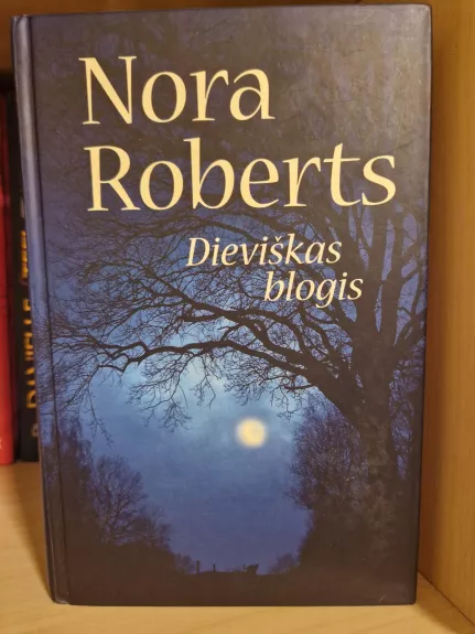 Dieviškas blogis - Nora Roberts, knyga
