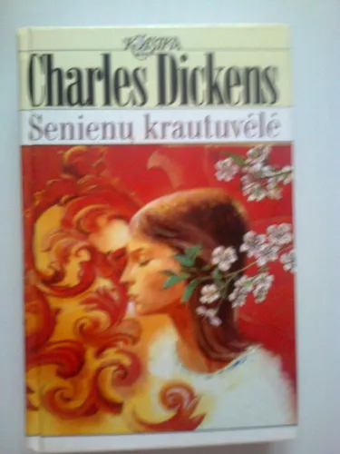 Senienų krautuvėlė - Charles Dickens, knyga