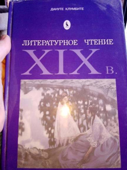 Литературное чтение XIX в.