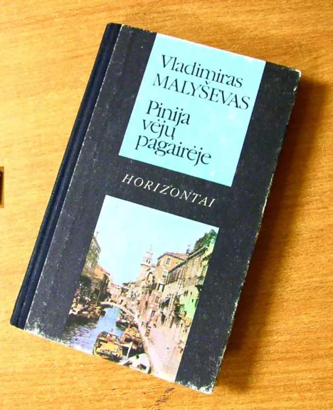 Pinija vėjų pagairėje - Vladimiras Malyševas, knyga
