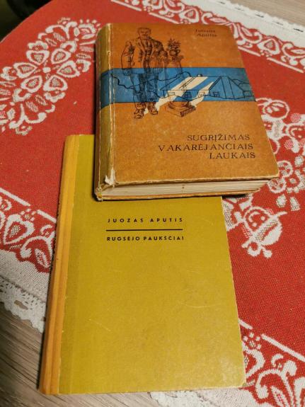 Sugrįžimas vakarėjančiais laukais - Juozas Aputis, knyga