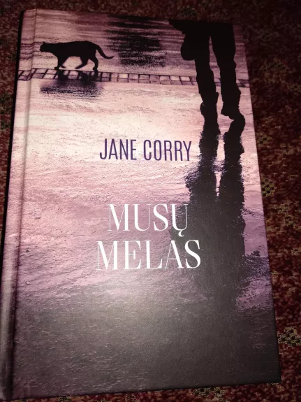 Mūsų melas - Jane Corry, knyga