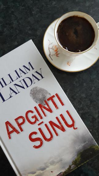 Apginti sūnų - William Landay, knyga