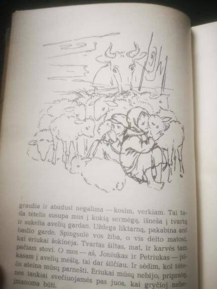 Kelionė į vaiko dienas